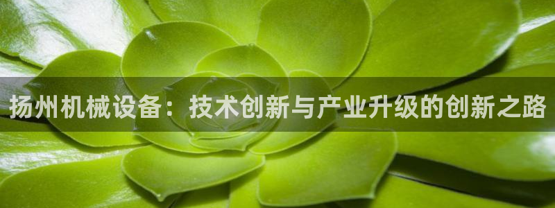 球盟会网页登录