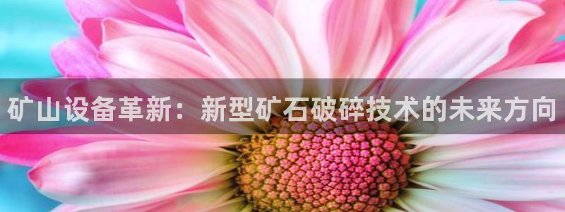 球盟会黑台子吗