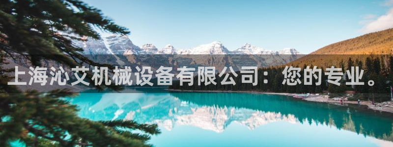 球盟会最新地址备用