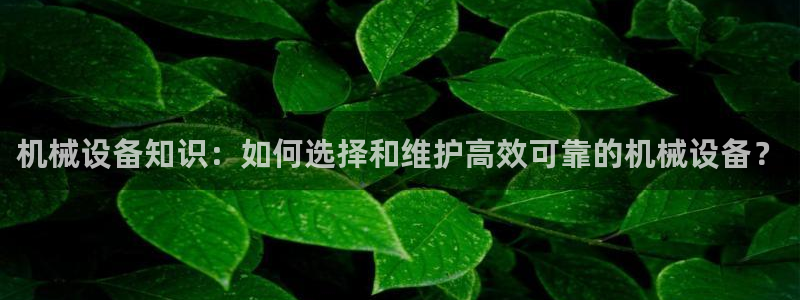 球盟会提款支付宝怎么样
