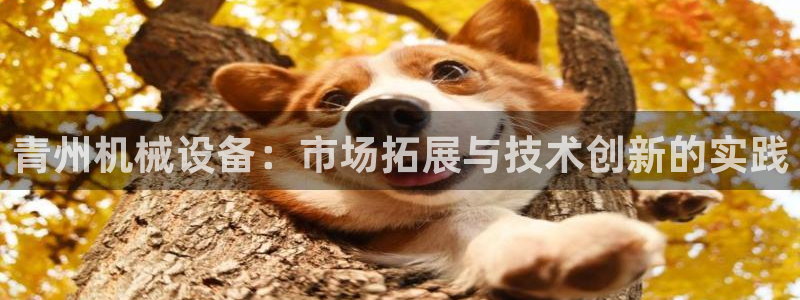 球盟会能提现吗安全吗