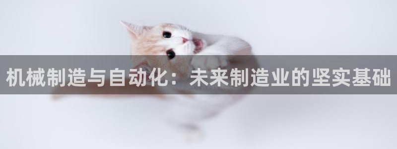 球盟会qmh登录地址