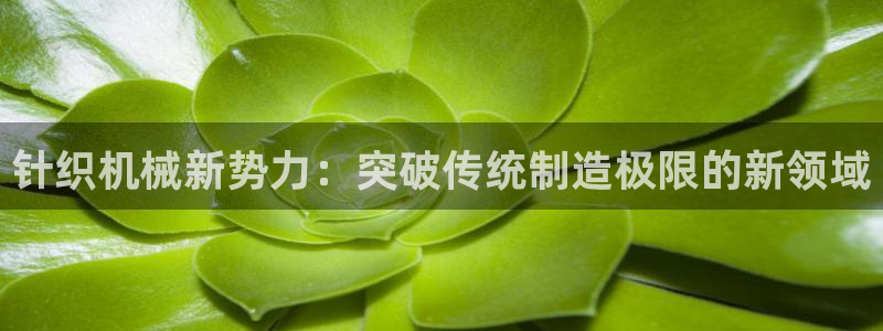 球盟会体验金球奖吗