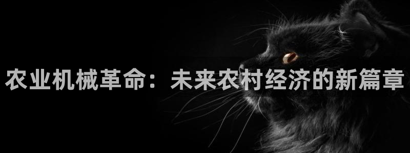 球盟会黑台子吗