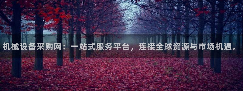 球盟会官方平台入口