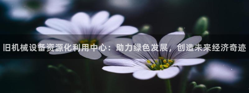 球盟会app最新地址在哪看