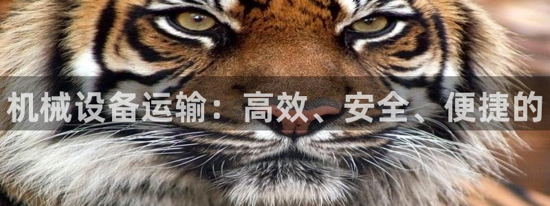 球盟会黑嘛