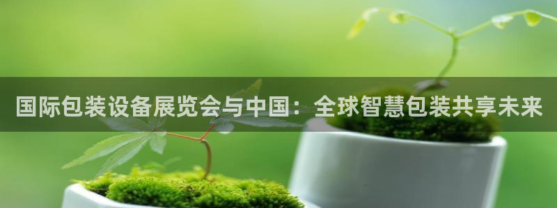 球盟会能退钱吗