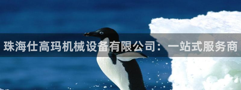 球盟会网页版登陆