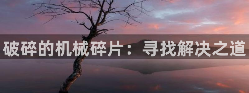 球盟会头号玩家是谁