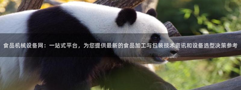 球盟会在线网站