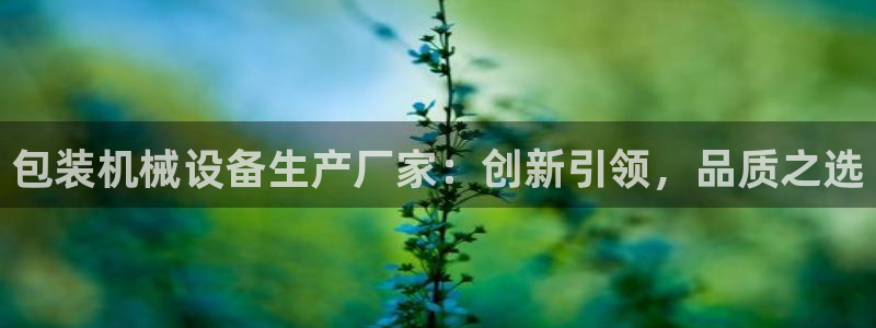 球盟会体育app官方网站