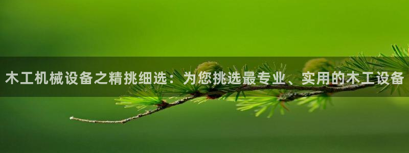 球盟会类似的网站