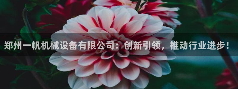 球盟会qmh - 球盟会官方网站