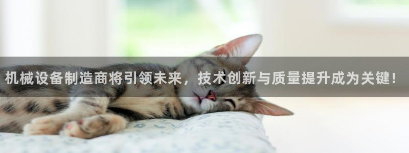 球盟会官方网入口