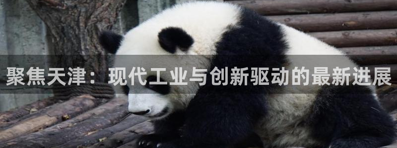 球盟会登陆