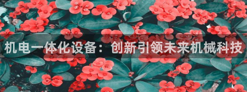 球盟会黑款吗是真的吗