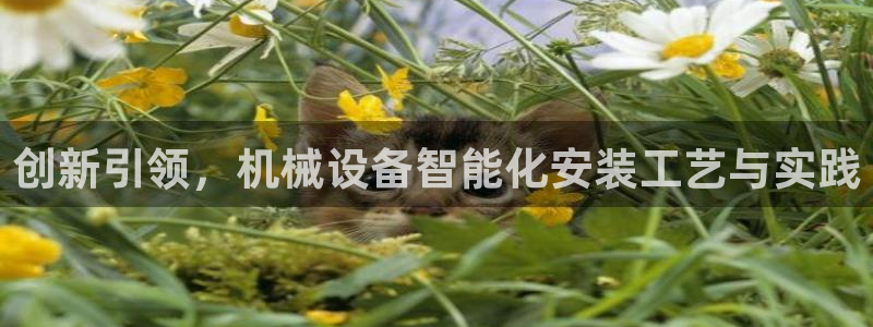 球盟会网址qm9 - 球盟会qmh网页版登录