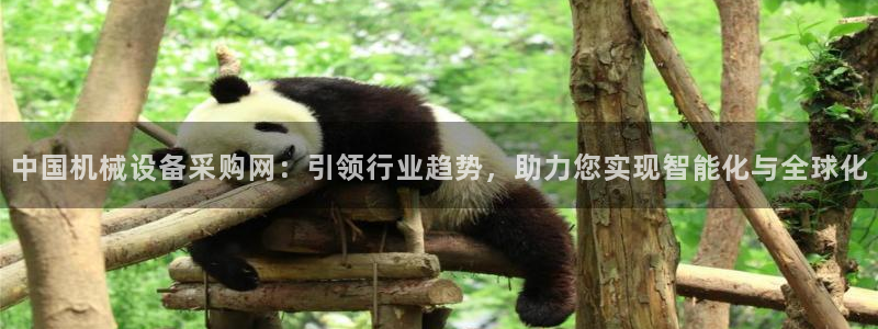 球盟会电子好黑