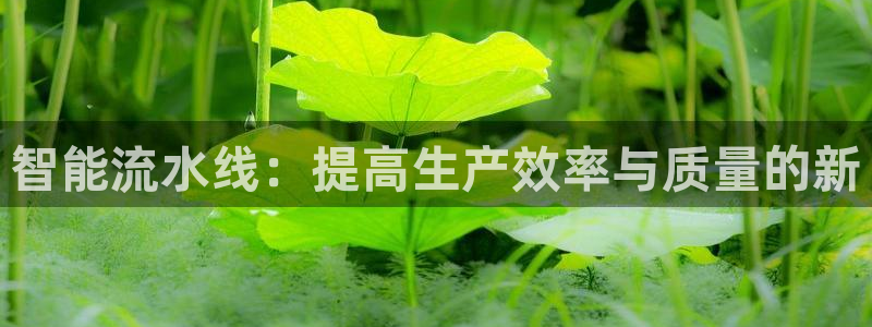 球盟会黑款吗还是白款