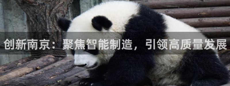 球盟会官方最新入口