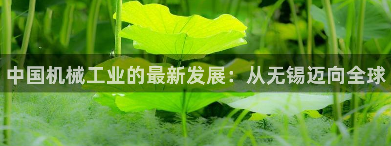 球盟会qmh官网