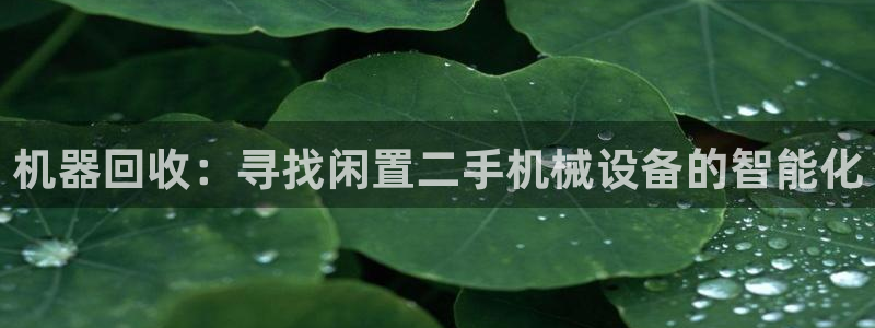 球盟会平台怎么样