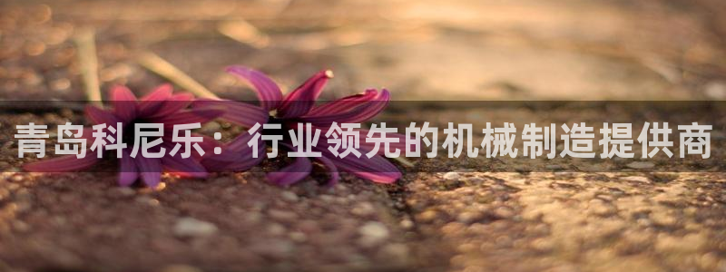 球盟会在线登入