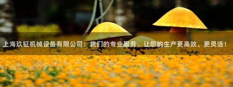 球盟会官方
