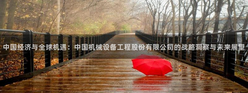 球盟会电子