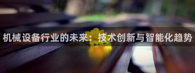 球盟会用的客服聊天是哪个软件