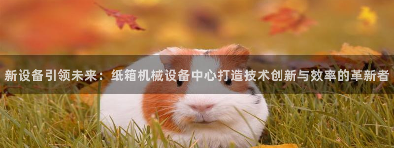 球盟会APP官网