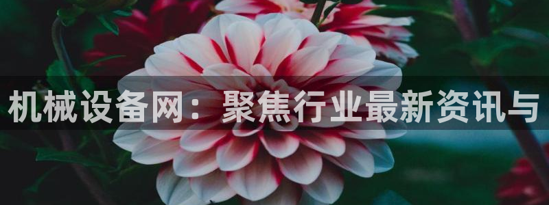 球盟会头号玩家是谁