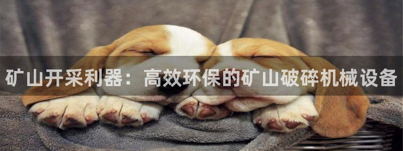 球盟会官方网页登录