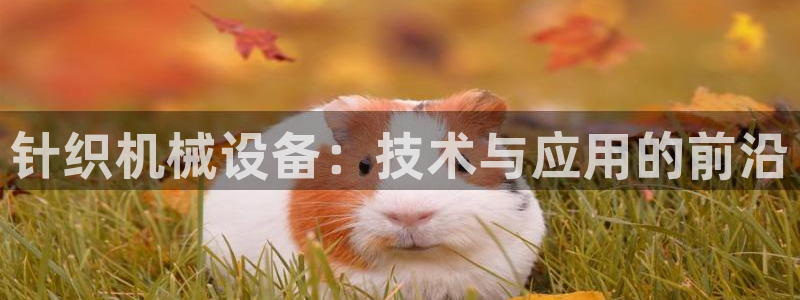 球盟会综合体育平台