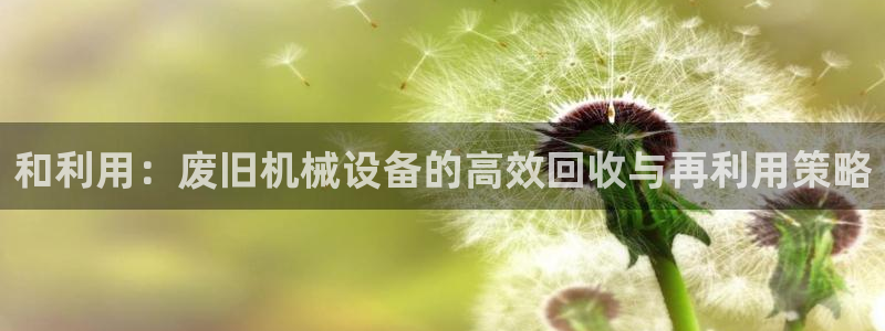 球盟会平台怎么样