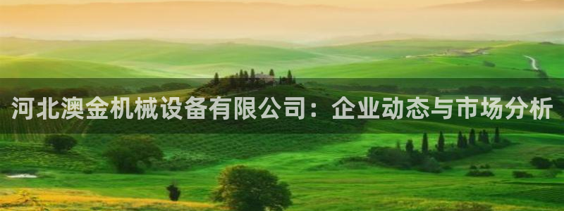 球盟会能提现吗安全吗