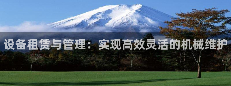 球盟会用的客服聊天是哪个软件