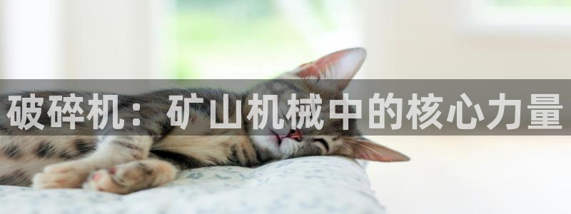 球盟会福利码2023最简单三个步骤