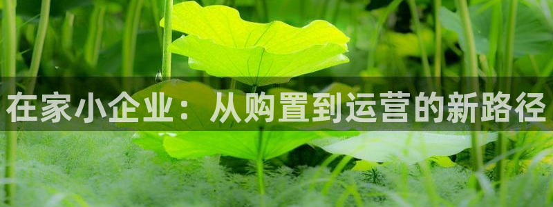 球盟会进不去吗