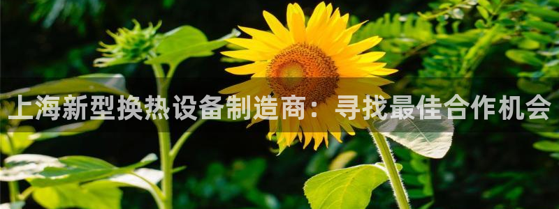 球盟会官方最新入口