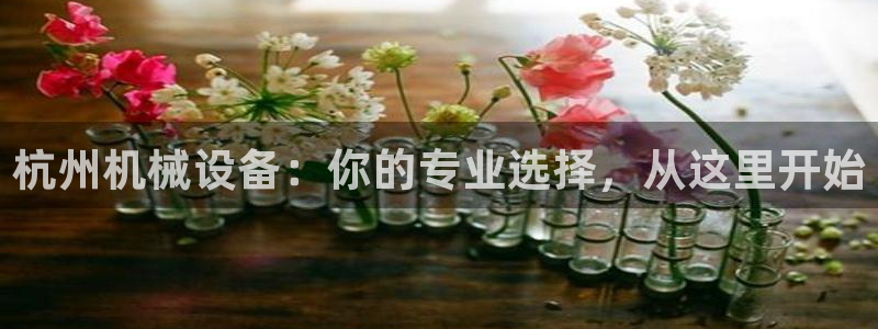 球盟会官方网站app