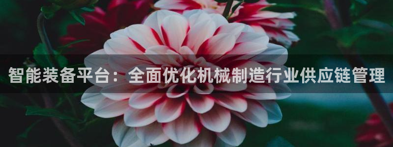 球盟会官方网站app