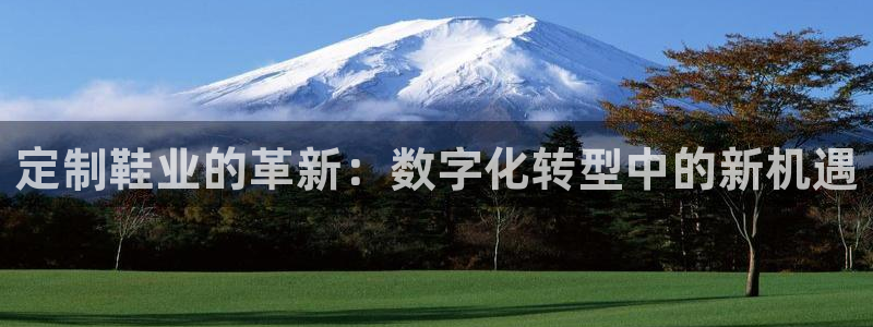 球盟会qmh电子网页版登录