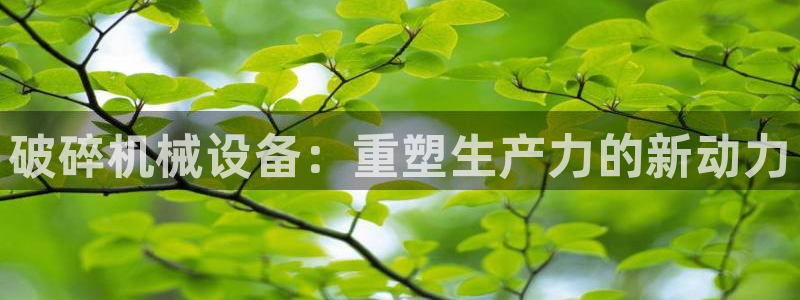 球盟会登录入口