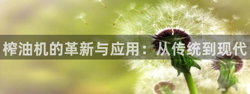 球盟会进不去球员吗