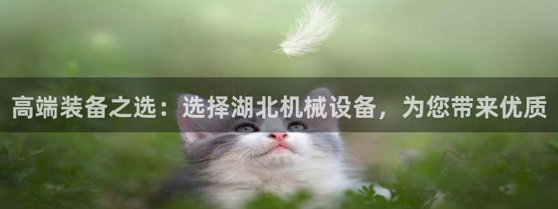 球盟会能退钱吗是真的吗