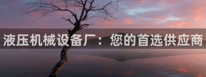 球盟会在线登录