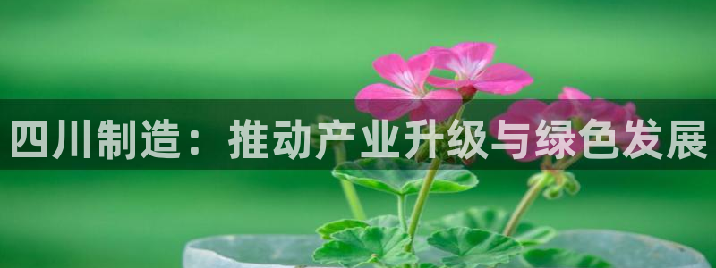 球盟会福利码2023最简单三个步骤