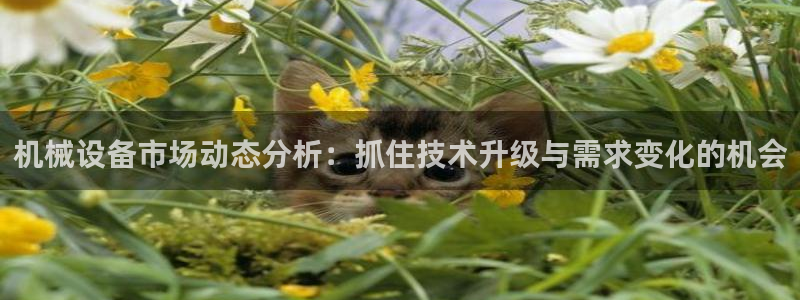 球盟会最新地址备用